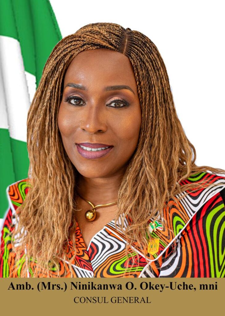 Evacuation On Track: Consul General reassures stranded Nigerians in South Africa