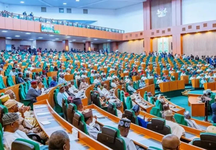 Reps summons National Security Adviser, Ministers over worsening security, defence spending