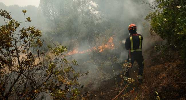 Inferno Across Borders: Over 300,000 flee as France, Spain fight unpredictable wildfires