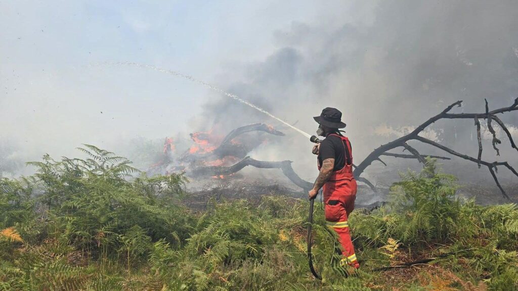 Wildfire in Southwestern France forces hundreds to evacuate amid severe heatwave